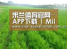 种植基地四