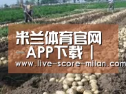 种植基地七(图1)