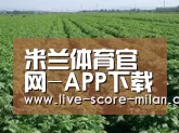 种植基地五(图1)