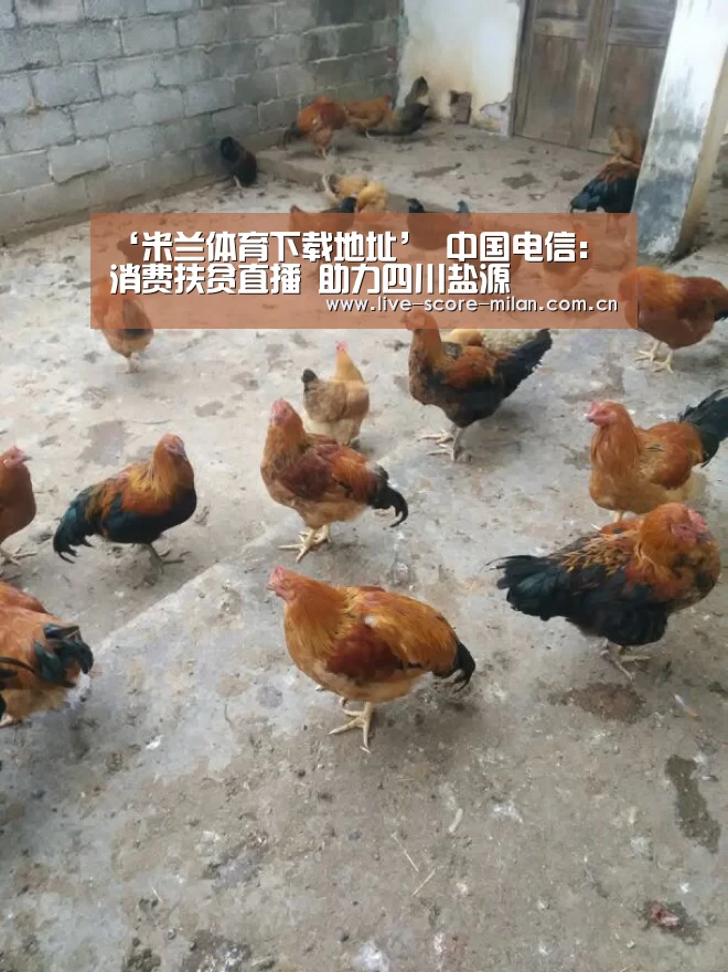 米兰体育下载地址